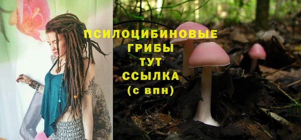 ALPHA-PVP Богородск